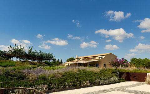 Villa Majoli 9: Busk, Landskab, Land Lot, Plantesamfund, Landdistrikt, Estate, Stuehus, Landscaping, Shrubland