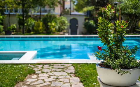 Villa Guidi 10: Grøn, Svømmepøl, Busk, Have, Skygge, Fritid, Udendørs Møbler, Landscaping, Lawn