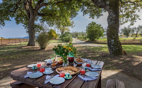Casale le Tre Querce 8+1: Træ, Landskab, Møbel, Udendørs Møbler, Almindeligt, Bagagerum, Picnic Bord, Udendørs Bord, Udendørs Bench, Have