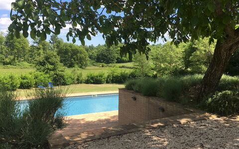 Villa Carmeli 12+2: Svømmepøl, Have, Skygge, Backyard, Landscaping, Evergreen