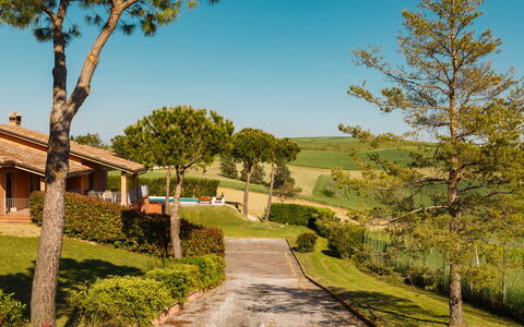 Villa California 6: Græs, Busk, Land Lot, Have, Landscaping, Sommerhus, Estate, Lawn, Skygge, Stuehus