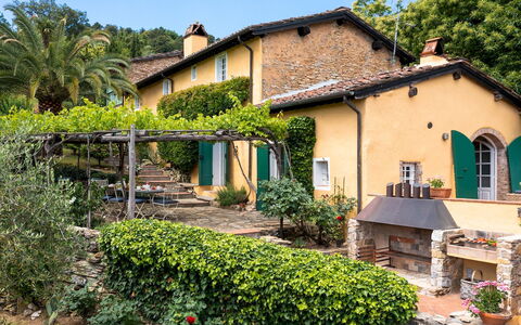 Villa Marraccini 8: Busk, Have, Sommerhus, Skygge, Hacienda, Estate, Backyard, Eco Hotel, Landscaping, Gård