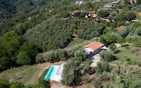 Villa Cristina 3: Træ, Landskab, Hus, Landdistrikt, Hill Station, Sommerhus, Estate, Hældning, Landsby, Eco Hotel