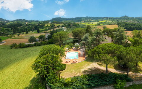 Fonte Pinella 8: Mad, Svømmepøl, Hacienda, Eco Hotel, Udvej, Villa, Stuehus, Farm, Fugleperspektiv, Plantation