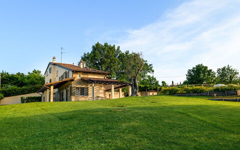 Villa Pergola 8: Græs, Landskab, Land Lot, Landdistrikt, Almindeligt, Hjem, Lawn, Stuehus, Sommerhus, Estate