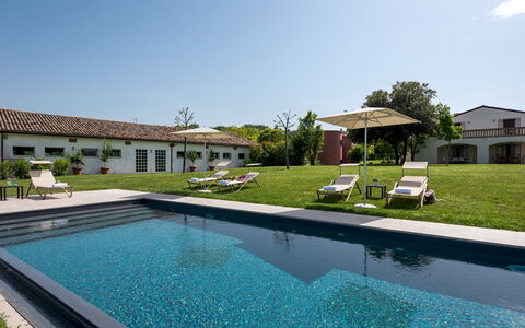 La Casa nei Vigneti 10: Svømmepøl, Estate, Have, Hacienda, Landscaping, Villa, Stuehus, Gårdsplads, Lawn, Skygge