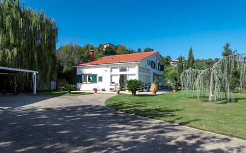 Villa Bubi 8+1: Træ, Hjem, Hus, Busk, Boligområde, Sommerhus, Estate, Skygge, Indkørsel, Lawn