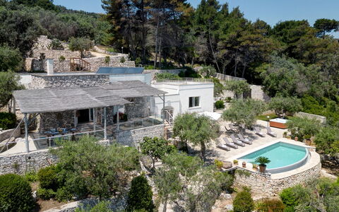 Villa Soleluna 7+1: Træ, Hus, Hjem, Estate, Sommerhus, Landscaping, Eco Hotel, Villa, Udvej