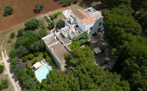 Masseria Tarsia Incuria 8+4: Træ, Boligområde, Hjem, Estate, Fugleperspektiv, Menneskelig Bosættelse, Luftfotografering, Forstad, Design, Villa