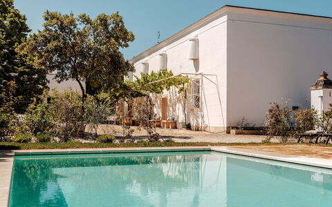Masseria Profilo 8: Estate, Have, Skygge, Svømmepøl, Hacienda, Gård, Landscaping, Backyard, Gårdsplads, Villa