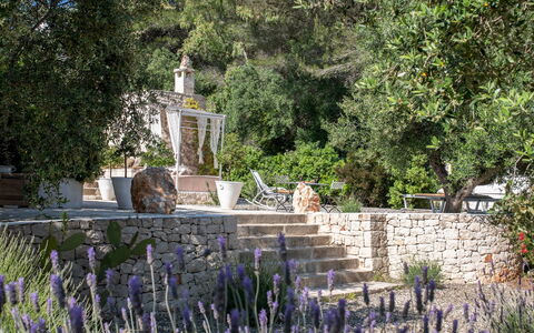 Pigreco 6+2: Busk, Have, Landscaping, Backyard, Botanisk Have, Gård, Blomsterkrukke