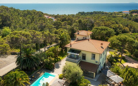Villa Gaius 8+2: Blå, Boligområde, Udvej, Eco Hotel, Estate, Altan, Svømmepøl, Tropics, Villa