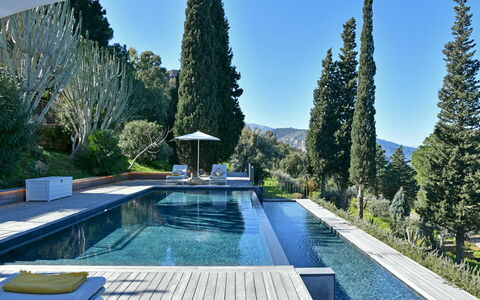 Villa Armonia 8: Blå, Svømmepøl, Evergreen, Landscaping, Water Feature, Lærk, Pine Family