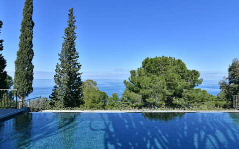 Villa Armonia 8: Blå, Svømmepøl, Evergreen, Tropics, Lærk, Pine Family