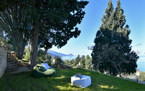 Villa Armonia 8: Landskab, Udendørs Møbler, Sollys, Have, Lawn, Skygge, Liggestol, Landscaping, Stol, Evergreen