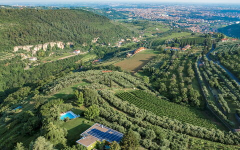 Villa degli Ulivi 8: Grøn, Natur, Naturligt Miljø, Fugleperspektiv, Vegetationen, Landskab, Naturlige Landskab, Luftfotografering, Highland, Land Lot