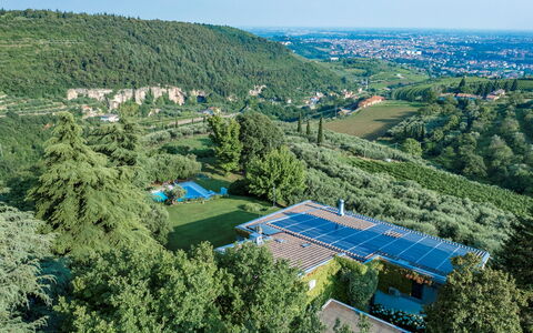 Villa degli Ulivi 8: Træ, Vegetationen, Fugleperspektiv, Landskab, Luftfotografering, Land Lot, Svømmepøl, Hill Station, Eco Hotel, Have