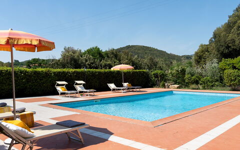 Villa Nikka 6: Svømmepøl, Udvej, Eco Hotel, Hacienda, Hotel, Liggestol, Thermae, Villa