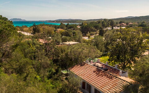 Casa Valentina 6: Himmel, Blå, Træ, Natur, Vegetationen, Boligområde, Landskab, Land Lot, Menneskelig Bosættelse, Estate