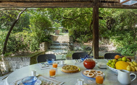 Casale le Querce di Cetona 8: Busk, Møbel, Have, Udendørs Møbler, Stol, Skygge, Backyard, Landscaping, Udendørs Bord, Køkken & Spisebord