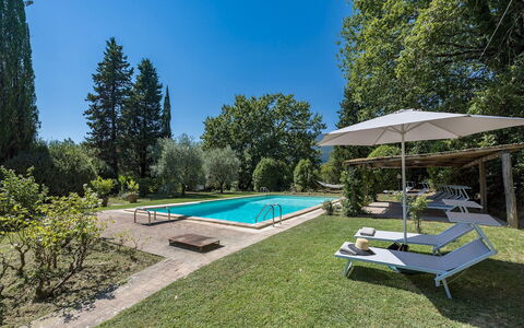 Casale le Querce di Cetona 8: Svømmepøl, Have, Estate, Skygge, Landscaping, Lawn, Gård, Villa, Backyard, Udvej