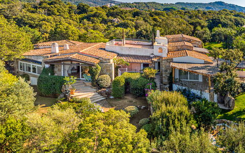 Villa Stella 6: Vegetationen, Busk, Plantesamfund, Landskab, Land Lot, Landdistrikt, Estate, Shrubland, Chaparral