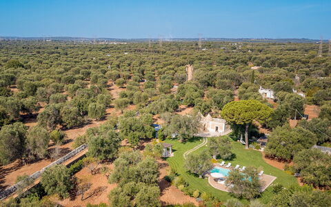 Trulli Biancapetra 8+2: Træ, Natur, Naturligt Miljø, Vegetationen, Landskab, Land Lot, Fugleperspektiv, Almindeligt, Luftfotografering