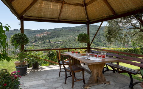 Villa Vittorio 6+2: Møbel, Udendørs Møbler, Bord, Udendørs Bord, Stol, Skygge, Have, Udendørs Struktur, Blomsterkrukke, Eco Hotel