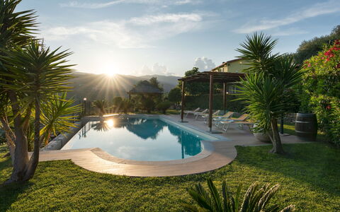 Villa Vittorio 6+2: Svømmepøl, Udvej, Eco Hotel, Udendørs Møbler, Thermae, Fritid, Landscaping, Liggestol, Hacienda, Skygge
