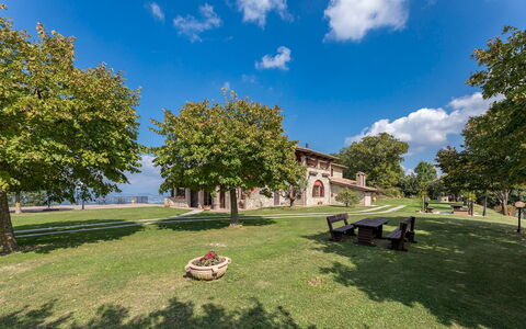 Tenuta Montiepoli 12+3: Græs, Landskab, Offentlige Rum, Almindeligt, Estate, Lawn, Skygge, Hacienda, Have, Parkere