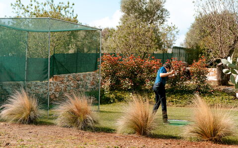 Villa Belkis 6: Busk, Have, Fritid, Fritid, Lawn, Landscaping, Botanisk Have, Backyard