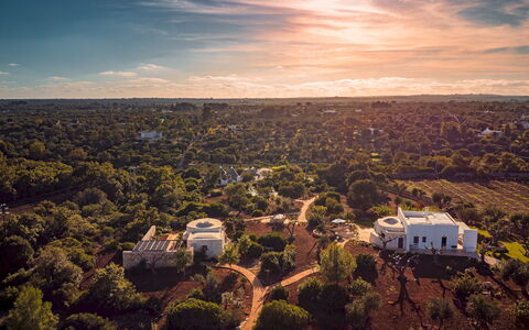 Borgo Dell'Agrumeto 8: Træ, Natur, Horisont, Landskab, Fugleperspektiv, Luftfotografering, Sollys, Estate, Plantation, Shrubland