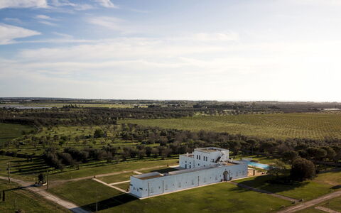 Masseria Samali 14+4: Daytime, Græs, Almindeligt, Landskab, Græs-, Land Lot, Landdistrikt, Estate, Mark, Eng