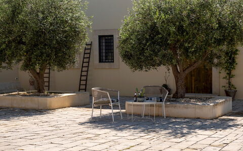 Dimora degli Ulivi 10: Skygge, Have, Flise, Vedplante, Blomsterkrukke, Beton, Gårdsplads, Landscaping, Mursten, Design