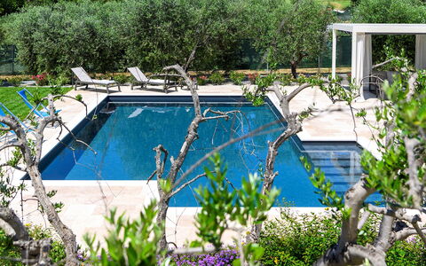 Villino le Moie 4+2: Svømmepøl, Have, Skygge, Udvej, Fritid, Water Feature, Landscaping, Udendørs Møbler, Backyard, Eco Hotel