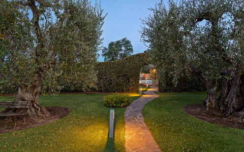 Villa Castiglione 9: Blad, Græs, Natur, Afdeling, Busk, Have, Landskab, Bagagerum, Lawn, Landskab Belysning