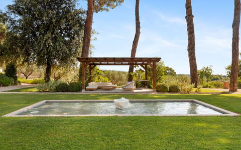 Antico Ceraso 10: Træ, Have, Busk, Land Lot, Skygge, Landscaping, Lawn, Svømmepøl, Backyard