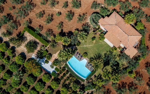 Villa Pineta 6: Træ, Svømmepøl, Landskab, Udvej, Estate, Eco Hotel, Have, Landscaping, Hacienda