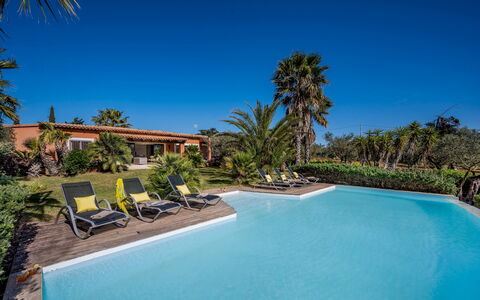 Villa Pineta 6: Blå, Udvej, Svømmepøl, Eco Hotel, Skygge, Tropics, Estate, Hacienda, Landscaping