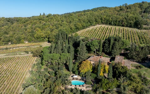 Castellare in Poggio 10: Vegetationen, Landskab, Landdistrikt, Land Lot, Plantation, Estate, Landsby, Have, Landscaping, Eco Hotel