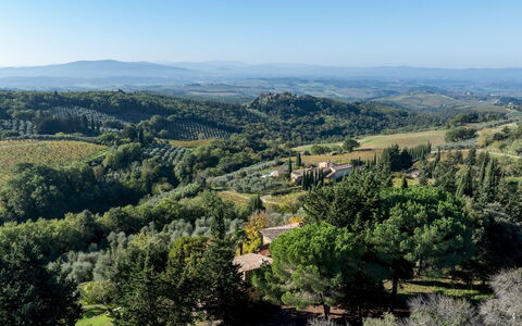 Castellare in Poggio 10: Træ, Naturligt Miljø, Vegetationen, Bakke, Naturlige Landskab, Landskab, Highland, Økoregion, Plantesamfund, Hill Station