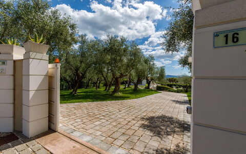 Villa Mandara 8+2: Busk, Have, Skygge, Landscaping, Walkway, Parkere, Backyard