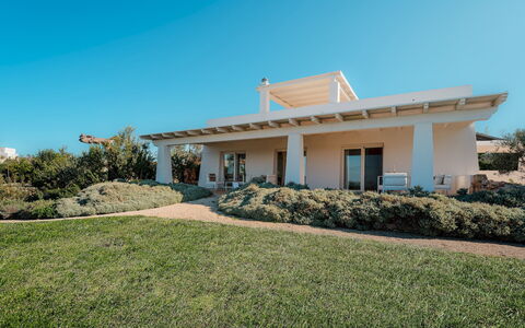 Kyvos 10: Busk, Hjem, Land Lot, Estate, Stuehus, Have, Skygge, Villa, Landscaping