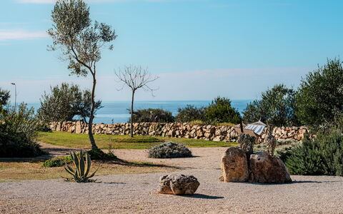 Kyvos 10: Rots, Landskab, Landscaping, Tropics