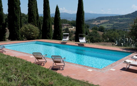 Villa la Pizzichina 10: Svømmepøl, Estate, Eco Hotel, Villa, Hacienda, Udvej, Landscaping, Evergreen, Ferieby