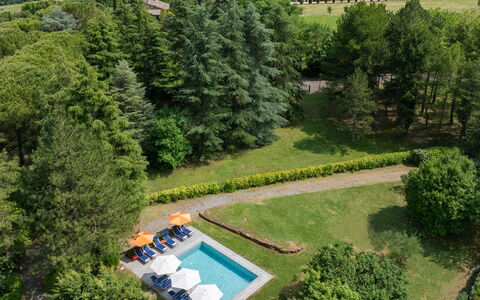 La Casetta 12: Svømmepøl, Busk, Have, Fritid, Landscaping, Lawn, Parkere, Estate, Udvej, Eco Hotel