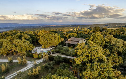 Villa Sparta 8+2: Træ, Natur, Blad, Græs, Naturligt Miljø, Vegetationen, Landskab, Naturlige Landskab, Almindeligt