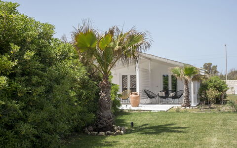 Baia L'Aura 8: Busk, Hus, Hjem, Sommerhus, Have, Skygge, Landscaping, Vedplante, Estate