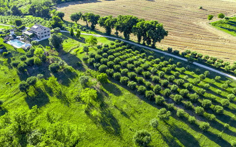 Casa Sant'Elia 7+3: Landskab, Landdistrikt, Almindeligt, Land Lot, Landbrug, Plantation, Mark, Hill Station, Eng, Farm