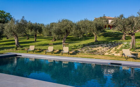 Casa Eugenia 8: Blå, Svømmepøl, Have, Estate, Landscaping, Villa, Hacienda